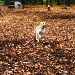 Meet your Posher, Lynn